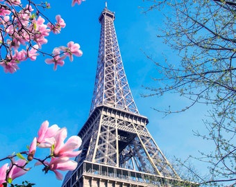 Paris in Spring, Paris Wall Art, Eiffel Tower Decor, Paris Print, Paris Home Decor, Paris Photography, Floral Photography, Paris Pink Decor