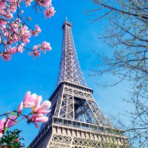 Eiffel Tower Spring Photograph: Paris Pink Floral Wall Art
