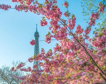 Eiffel Tower Cherry Blossom Print: Romantic Paris Photography