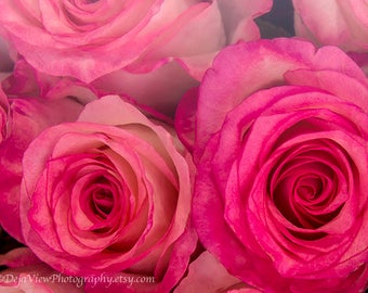 Paris Pink Roses, Paris Photography, Paris Nursery Decor, Paris Floral Photography, Street Market Flowers, Paris Wall Art, Paris Decor