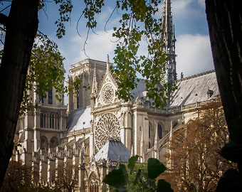 Notre Dame de Paris, Paris Photography, Paris Print, French Architecture, Wall Art, Paris Home Decor, Paris Art Print, Notre Dame Pictures