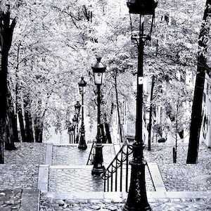 Célèbres escaliers de la rue Foyatier, photos de la ville de Paris, photos de Paris, art mural de Paris, Paris noir et blanc, escaliers de Montmartre, photographie de Paris