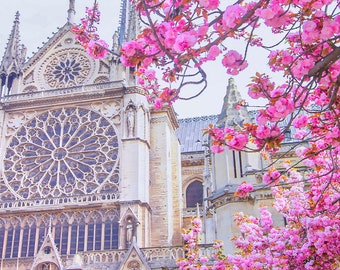Paris Wall Art, Notre Dame Cathedral, Paris Decor, Paris Bedroom Decor, Notre Dame de Paris Photo, Paris Print, Cherry Blossom Art, Paris
