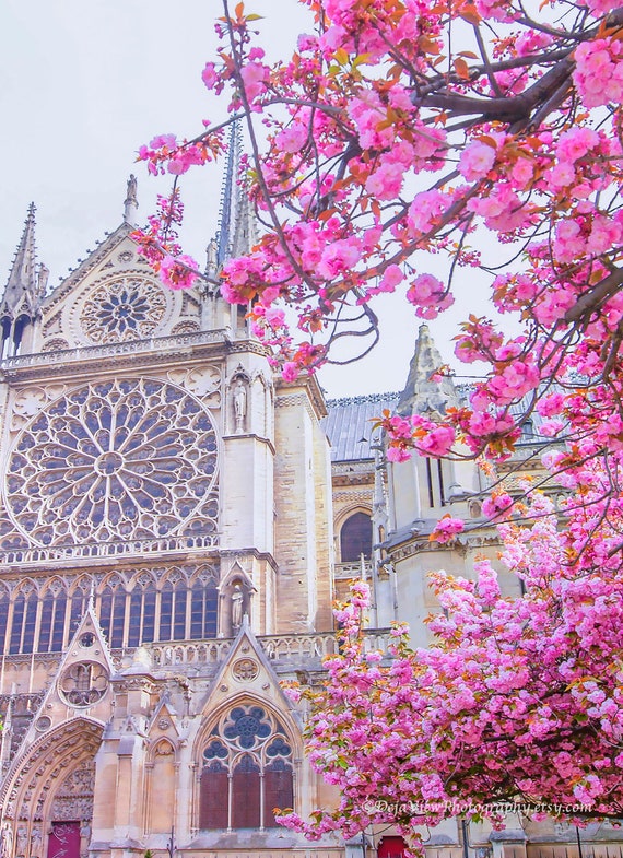 Paris Wall Art Notre Dame Cathedral Decor Singapore - Notre Dame Cathedral Wall Art Paris Wall Art Notre Dame Cathedral Decor Singapore - Notre Dame Cathedral Wall Art