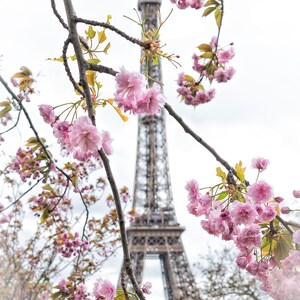 Eiffel Tower Wall Art, Cherry Blossom Photo Art, Paris Photography, Paris Photo, Paris Prints, French Home Decor,  Paris Wall Art, Paris Art