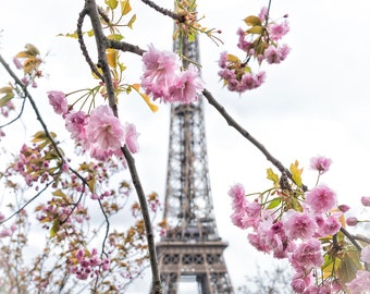 Eiffel Tower Cherry Blossom Photo Art: Springtime Paris Print