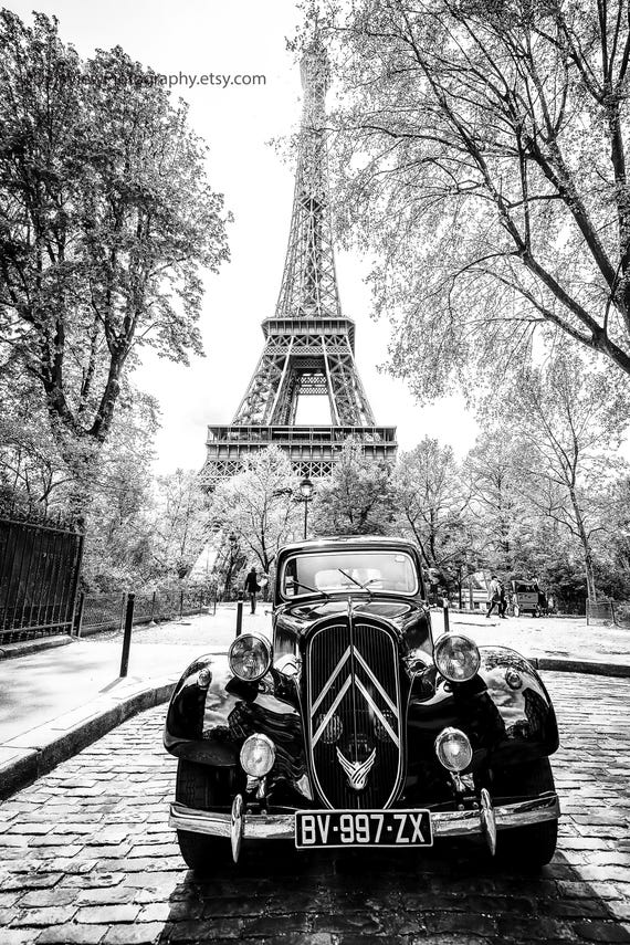 飾り物 11月27日（水）12時よりWEB SHOPにて、『X-RAY FLOWER』フィギュア3種