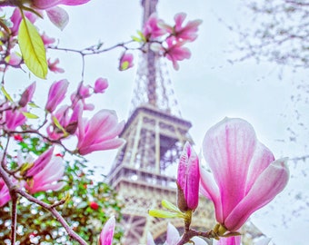 Eiffel Tower, Magnolia Art, Flower Photography, Paris in Spring, Paris Pink Decor, Wall Art, Eiffel Tower Decor, Paris Prints, Home Decor