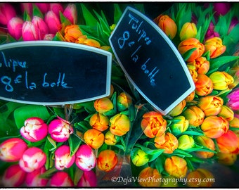 Paris Floral Photography: Winter Tulips Fine Art Print