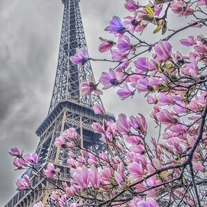 Eiffel Tower Wall Art, Paris Photography, Paris Floral Photography, Paris Photo, Valentine&#39;s Decor, Valentine&#39;s Gift, Paris Home Decor