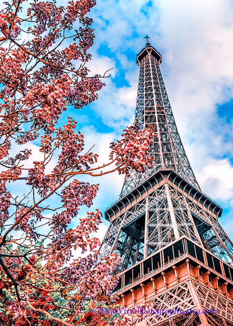 Eiffel Tower Wall Art, Pink Wall Art, Paris Floral Photography, Paris