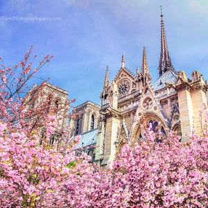 Die Kathedrale von Notre Dame, Notre Dame de Paris, Paris Dekor, Paris Fotografie, Kathedrale Notre Dame Druck, Paris Wandkunst, Paris Druck, Paris
