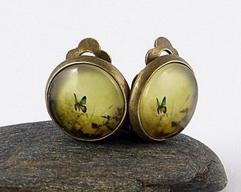 Ohrclips "Schmetterling" Ohrringe in Vintage Stil bronze / grün, clips, clip