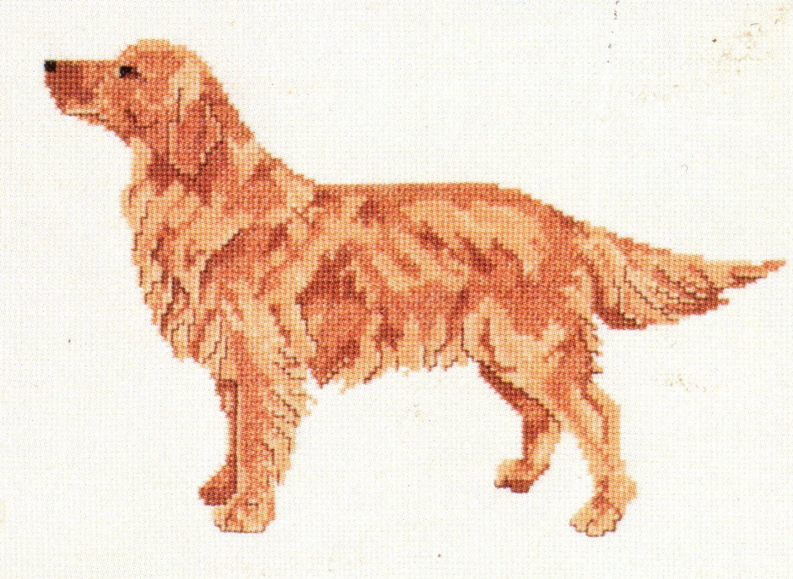 Golden Retriever Cross Stitch Pattern Dog Full Body Etsy