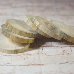 6 Natural Tree Wood Coasters, Tree Branch Wood Discs, Cut Craft Slices, reclaimed wood, rustic home decor, farmhouse kitchen, wedding favor image 4