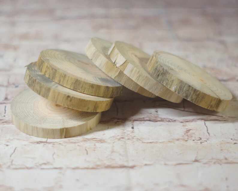 6 Natural Tree Wood Coasters, Tree Branch Wood Discs, Cut Craft Slices, reclaimed wood, rustic home decor, farmhouse kitchen, wedding favor image 4