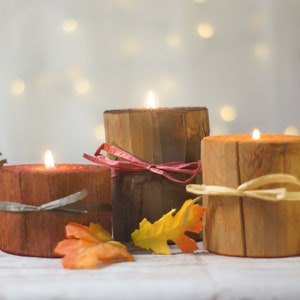 Log Candles, Harvest Colors, Fall Decor, Thanksgiving Table Decorations, Fireplace mantle, Holiday Decor gift, Hostess Present, Autumn set image 10