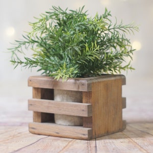 May include: A green leafy plant in a rustic wooden planter box. The planter has a slatted design and is made of natural wood.