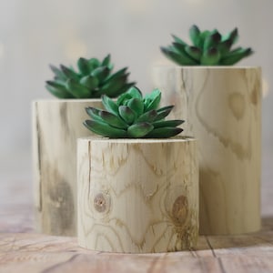 Wood Succulent Holder, Log planter, Natural Wood Planter, Succulent Pot, Succulent Terrarium, Faux Succulent, Air Plant Holder,  Air Planter