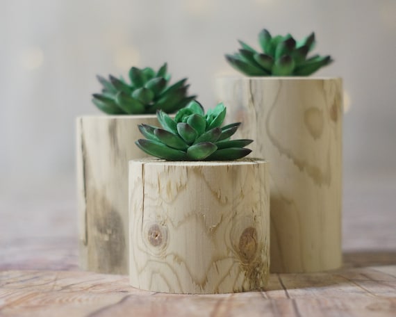Wood Succulent Holder, Log Planter, Natural Wood Planter, Succulent Pot,  Succulent Terrarium, Faux Succulent, Air Plant Holder, Air Planter - Etsy