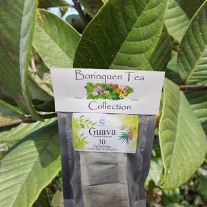 Guava Leaves (Psidium Guajava) Tea Servings, Fine Grit Herb & Extract Sale