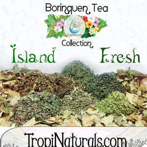 Ylang Ylang Flower Cananga Odorata Tea Servings, Fine Grit Flowers & Extract image 3