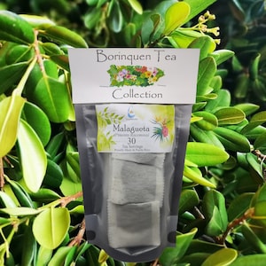 Malagueta, Bay Rum Leaves (Pimenta Racemosa) Tea Servings, Fine Grit Herb & Extract Sale