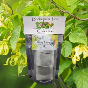 Ylang Ylang Flower Cananga Odorata Tea Servings, Fine Grit Flowers & Extract image 1