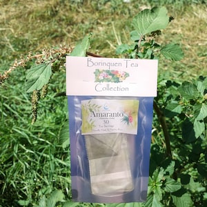 Amaranto (Amaranthus viridis) Tee Portionen & lose Kräuter Verkauf
