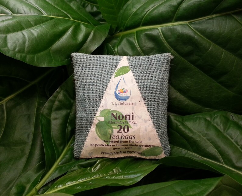 Noni Leaf Tea Morinda citrifolia 20 Servings Etsy