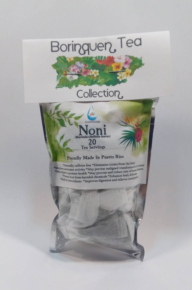 Noni Leaf Tea Morinda citrifolia 20 Servings Etsy