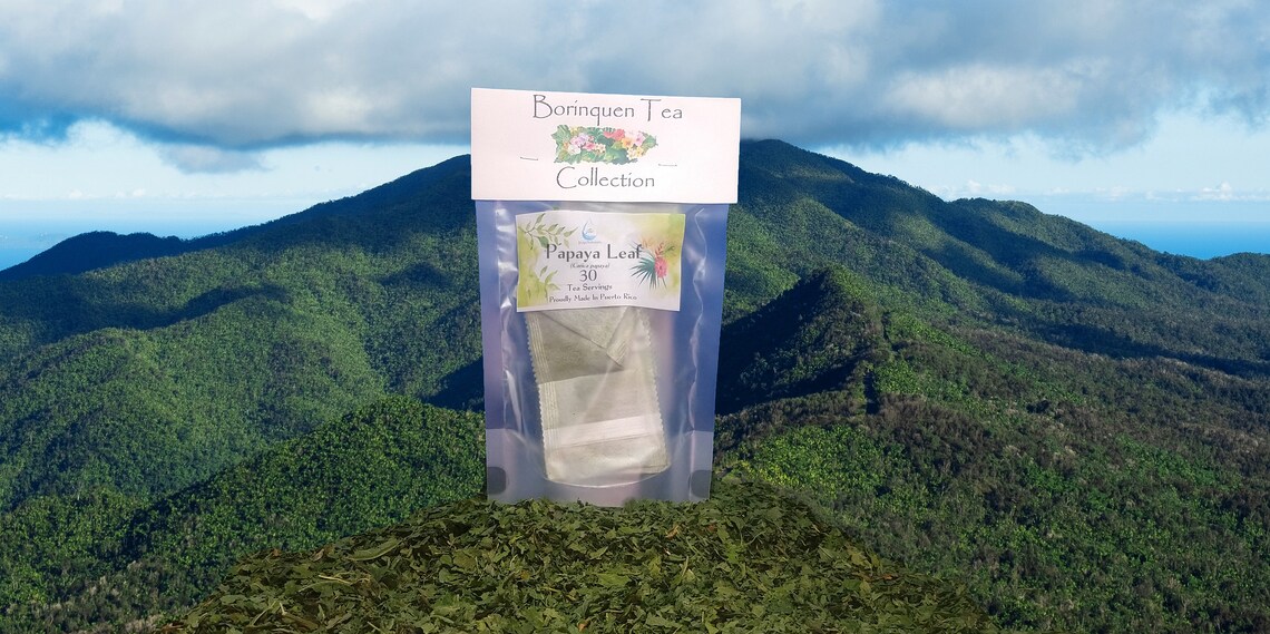 Papaya Leaves Powder 454g (1lb / 16 oz