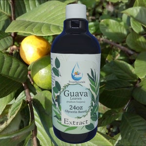 Guava Leaf Psidium Guajava Glycerin Extract 24oz Gly Extract