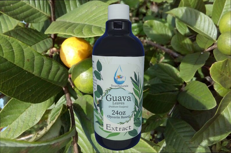 Guava Leaf Psidium Guajava Glycerin Extract 24oz Gly Extract