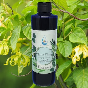 Ylang Ylang (Cananga Odorata) 6oz, 12oz & 24oz Extract Sale