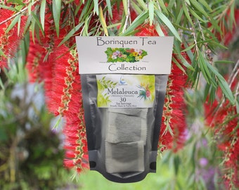 Melaleuca (Melaleuca Viminalis) Tea Servings, Fine Grit Herb & Extract Sale