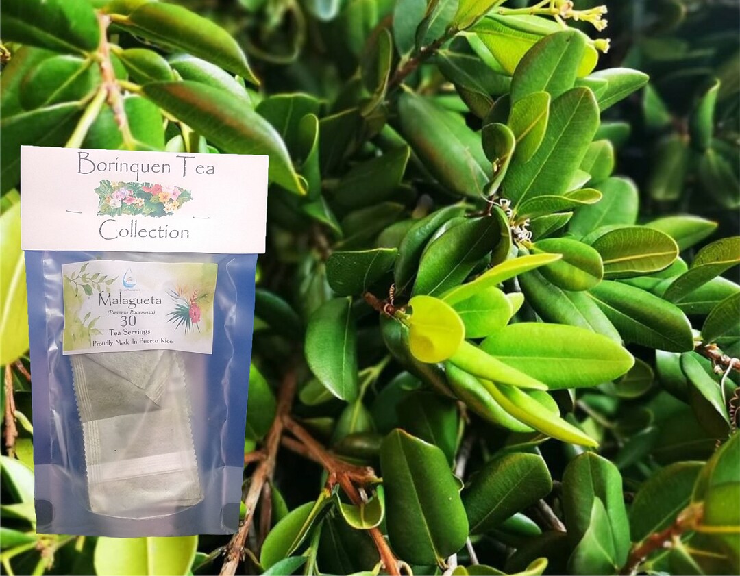Malagueta, Bay Rum Leaves pimenta Racemosa Tea Servings & Loose Herb