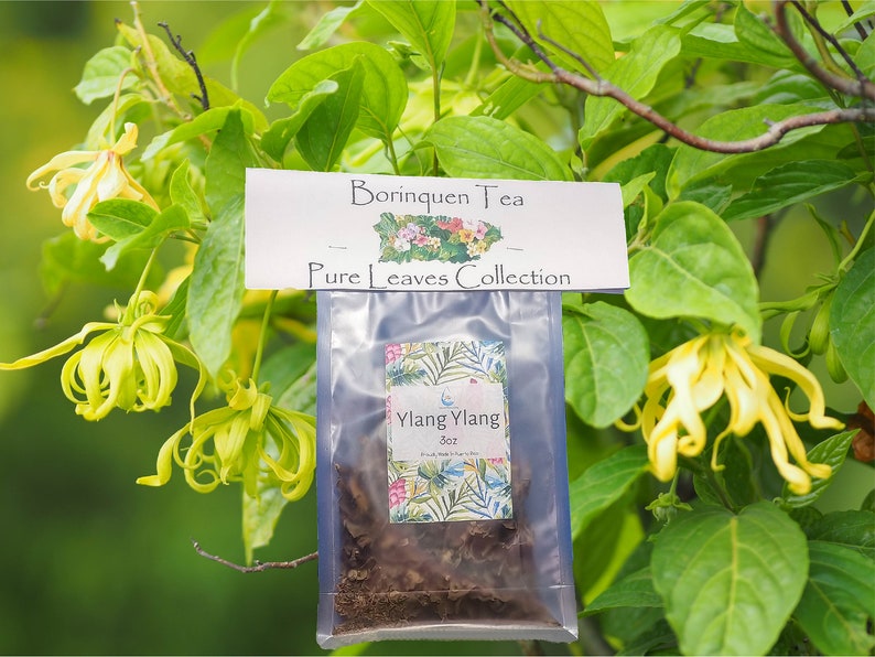 Ylang Ylang Flower Cananga Odorata Tea Servings, Fine Grit Flowers & Extract 3oz Fine Grit Flower