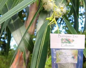 Vente de portions de thé d'eucalyptus (Eucalyptus globulus) et d'herbes en vrac