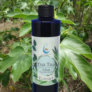Tua Tua  (Jatropha Gossypiifolia) 6oz, 12oz & 24oz Extract Sale