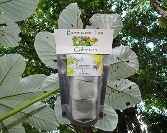 Porciones de té de Yagrumo (Cecropia Peltata), hierba de grano fino y extracto