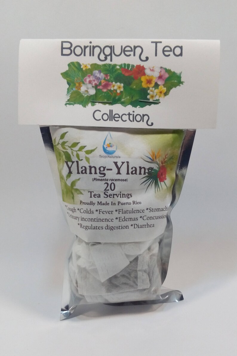 Ylang Ylang Flower Tea Canananga odorata 20 Servings Etsy