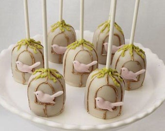 Birdhouse Cakepops (1 Dozen)