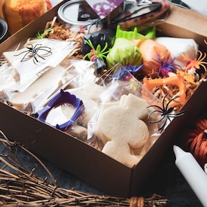 Halloween Monster DIY Decorating Kit /Monster Cookies / Halloween Cookies / Cookie Kits/Custom Sugar Cookies