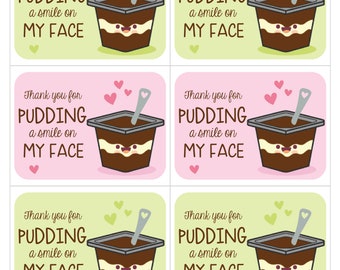 Thank You For Pudding A Smile on my Face Pun Valentine's Day Tags, Instant Download, Printable, Pink, Green - Valentine Gift Tag - DIY