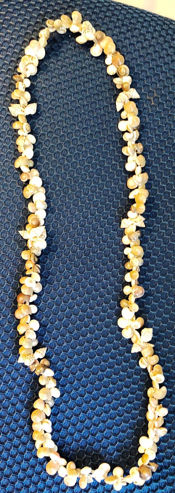 Shell Necklace 34" , Luau, Tropical. Conch