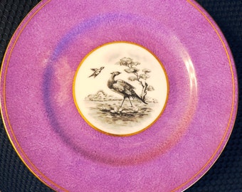 Crown Staffordshire purple Dinner Plate, Pheasant in center