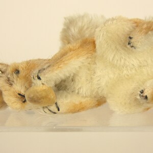 Steiff Squirrel with Nut Vintage German Mohair Stuffed Animal RSB image 5