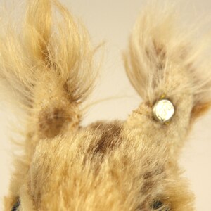 Steiff Squirrel with Nut Vintage German Mohair Stuffed Animal RSB image 9