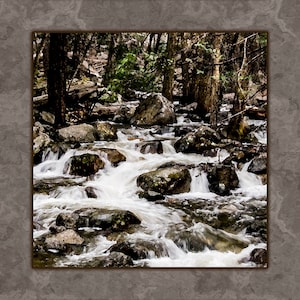 Yosemite National Park Waterfalls actual photography taken and digitally printed